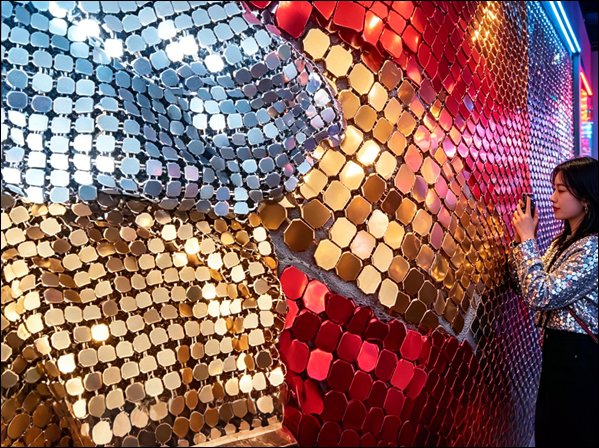 Metal Scale Mesh Wall Panels