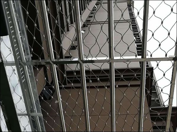 Stainless Steel Wire Rope Mesh for Animal Enclosures and Habitat Containment