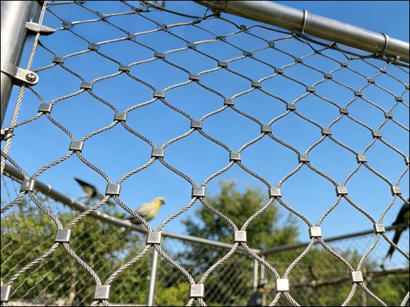 Stainless Steel Wire Rope Mesh