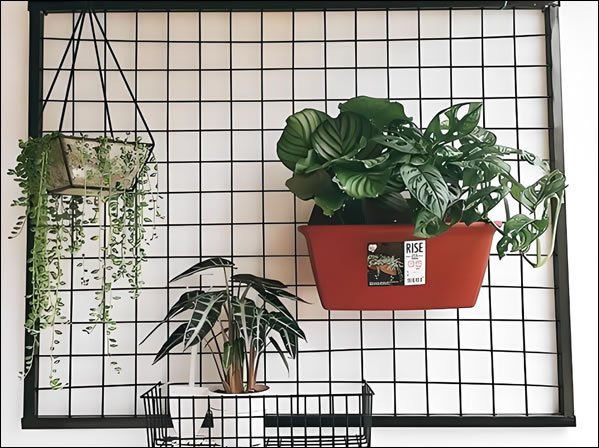 Decorative Welded Wire Mesh Wall Frame for Indoor Plant Display